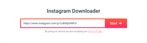 Instagram URL’sini yapıştır